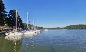 Żaglówki cumujące przy brzegu, letni dzień nad jeziorem. Ruciane Nida atrakcje dla żeglarzy i miłośników wypoczynku na Mazurach.