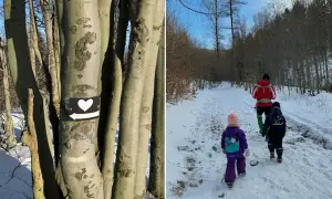 Rodzina podąża szlakiem białych serc przez ośnieżony las.