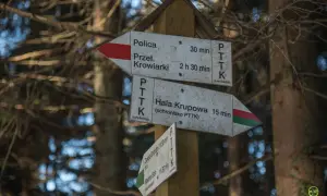 Rozdroże szlaków PTTK. Wskazówki kierują do Hali Krupowej (15 min), Przełęczy Krowiarki (2h 30 min) i Policy (30 min).
