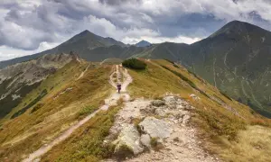 Szlak na Ornaka z Doliny Kościeliskiej. Kamienista ścieżka wije się pośród traw i kosodrzewiny, prowadząc w głąb gór.
