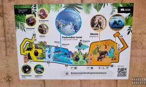 Mapa zoo koło Łodzi: zobacz orangutany, słonie, gibony, niedźwiedzie, krokodyle, pingwiny, rekiny, płaszczki i podwodny tunel.