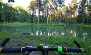 Rowerowy wypad do puszczy dulowskiej. Spokojna tafla wody odbija wysokie drzewa.