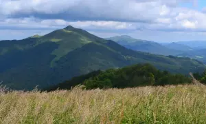 Łąka pełna traw na pierwszym planie, za nią zielone wzgórza i góry, idealne na połonina caryńska trasę.