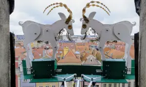 Gdzie są koziołki w Poznaniu? Dwa mechaniczne koziołki na tle Starego Rynku.