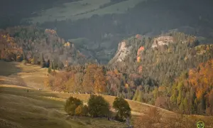 Jesienny szlak na wysoką, z barwnymi drzewami i ludźmi spacerującymi po zboczu.