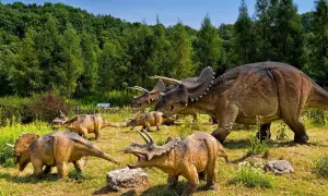Stado triceratopsów na tle lasu – to atrakcja największego muzeum dinozaurów w Polsce.