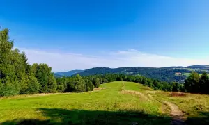 Piękny, zielony szlak na Trzy Kopce Wiślańskie prowadzi przez wzgórza i lasy.