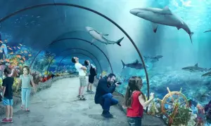 Podwodny tunel w łódzkim oceanarium, gdzie rekiny pływają nad głowami zwiedzających. Dzieci z zachwytem obserwują morskie życie.