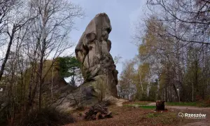 Imponująca skała w rezerwacie Prządki, otoczona drzewami.