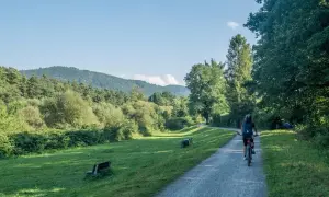 Rowerzystka na trasie rowerowej Ustroń Wisła, otoczonej zielenią i górami.