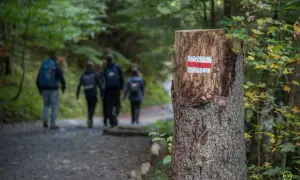 Szlak w Dolinie Strążyskiej. Pień drzewa z czerwono-białym oznaczeniem szlaku. W tle rodzina idąca na parking.
