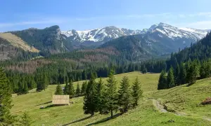 Zielone hale i lasy Tatr, idealne na łatwe szlaki Zakopane. W oddali ośnieżone szczyty.