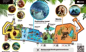 Zoo Łódź zaprasza! Zobacz orangutany, słonie, pingwiny i podwodny tunel. Sprawdź zoo łódź bilety ulgowe.
