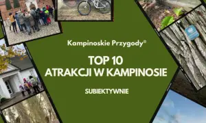 Kampinoskie Przygody: TOP 10 atrakcji w Kampinosie. Odkryj piękno puszczy kampinoskiej, od zabytków po dziką przyrodę.