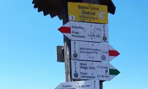 Rozdroże szlaków na Babiej Górze. Wskazówki pokazują drogę do Sokolicy, Markowych Szczawin i Małej Babiej Góry.