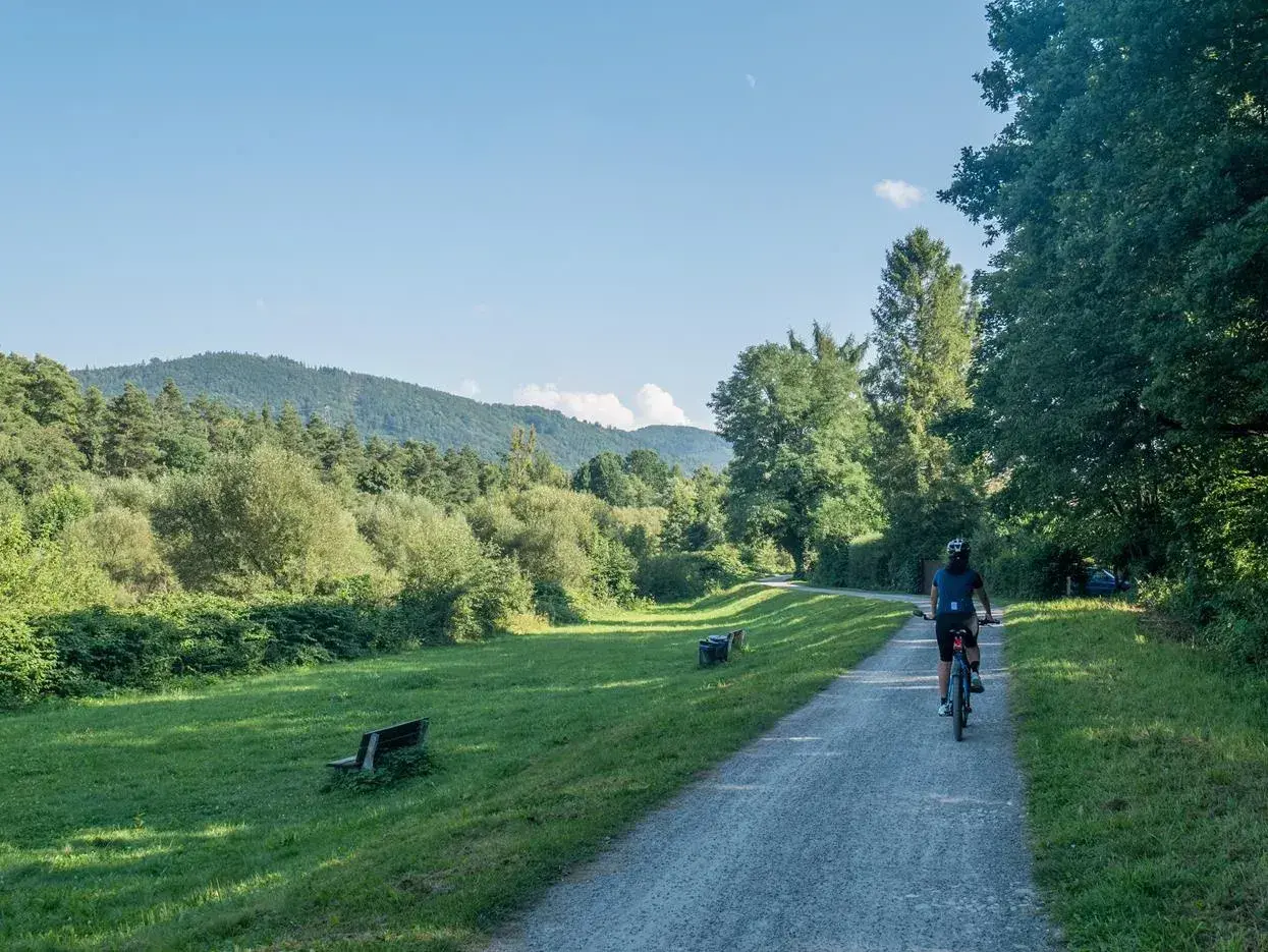 Rowerzystka na trasie rowerowej Ustroń Wisła, otoczonej zielenią i górami.