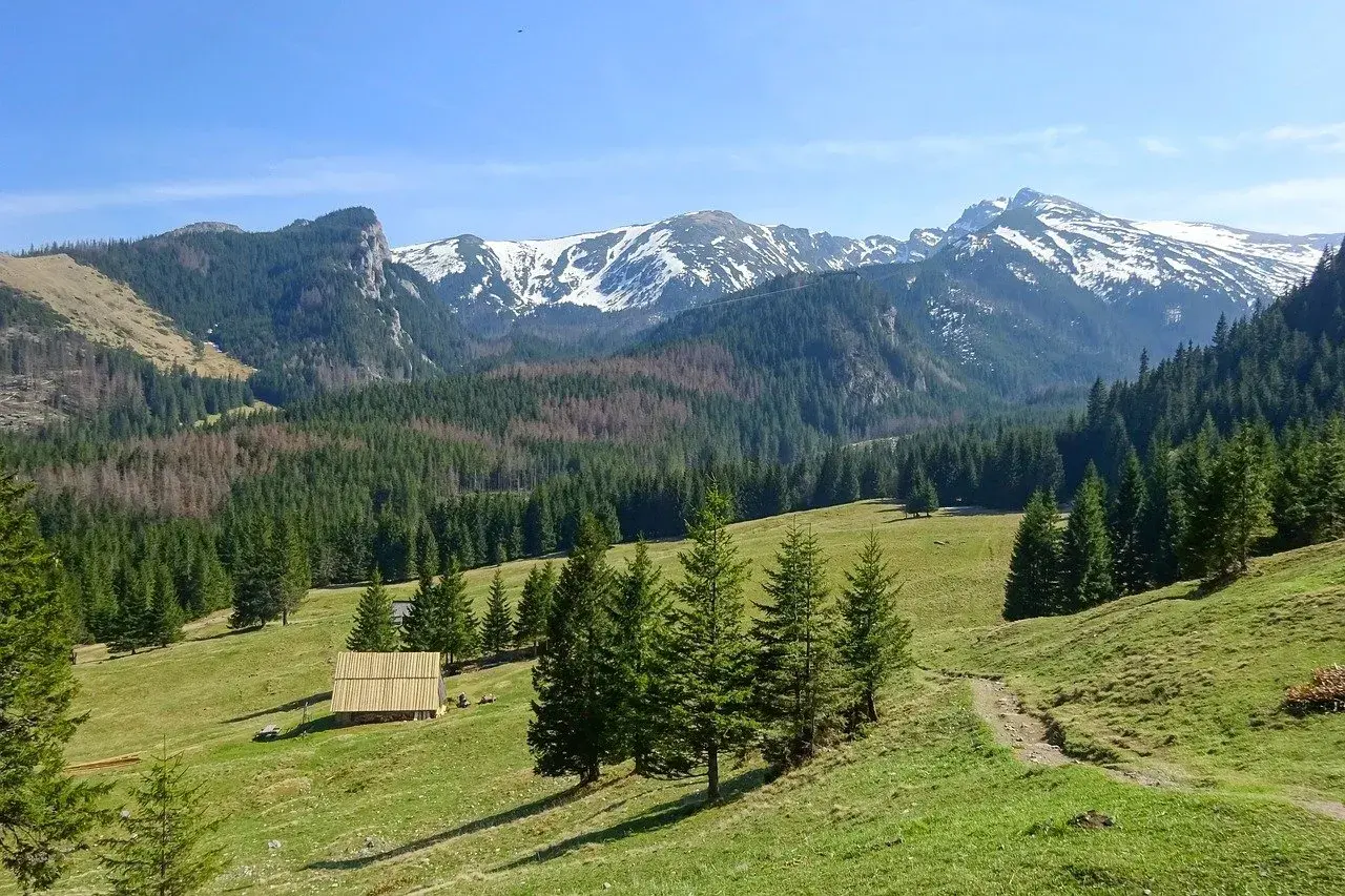 Zielone hale i lasy Tatr, idealne na łatwe szlaki Zakopane. W oddali ośnieżone szczyty.