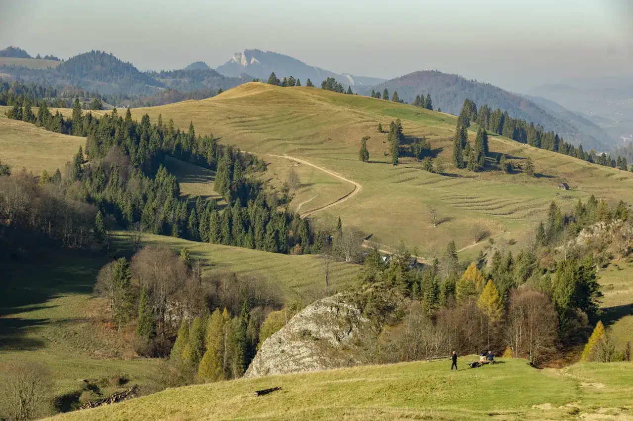 Kręty szlak na wysoką prowadzi przez zielone wzgórza i lasy. W oddali widać góry.