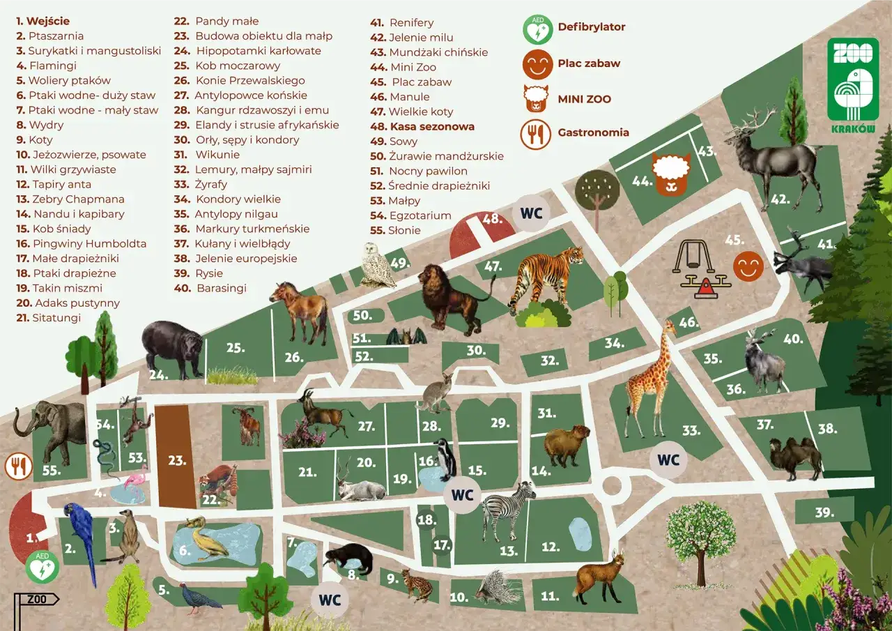 Mapa ogrodu zoologicznego w Krakowie. Plan zwiedzania z zaznaczonymi zwierzętami i atrakcjami, idealny do planowania wycieczki i zakupu biletów.