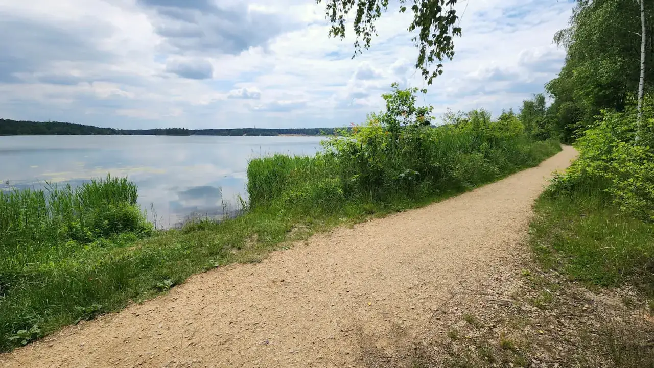 Ścieżka wije się wzdłuż spokojnego jeziora Chechło-Nakło, otoczona bujną zielenią.