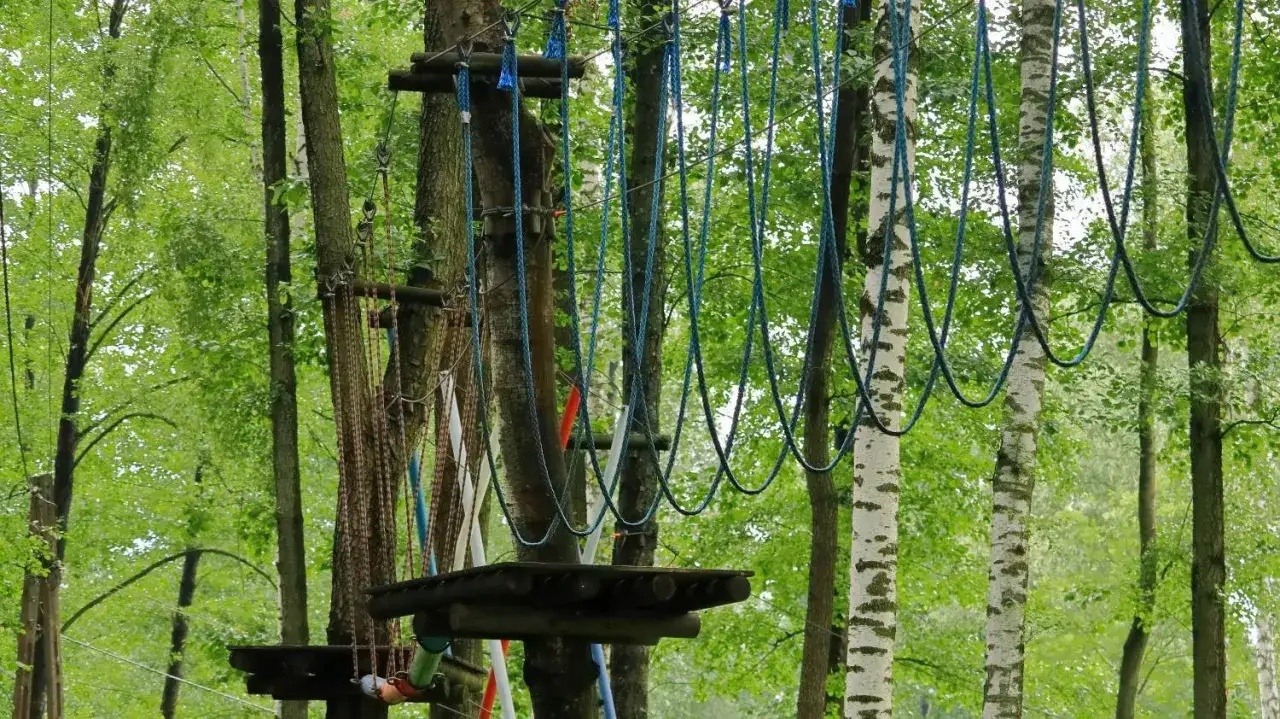 Wrocławski park linowy oferuje emocjonujące trasy wśród drzew. Widać drewniane platformy i liny do wspinaczki.
