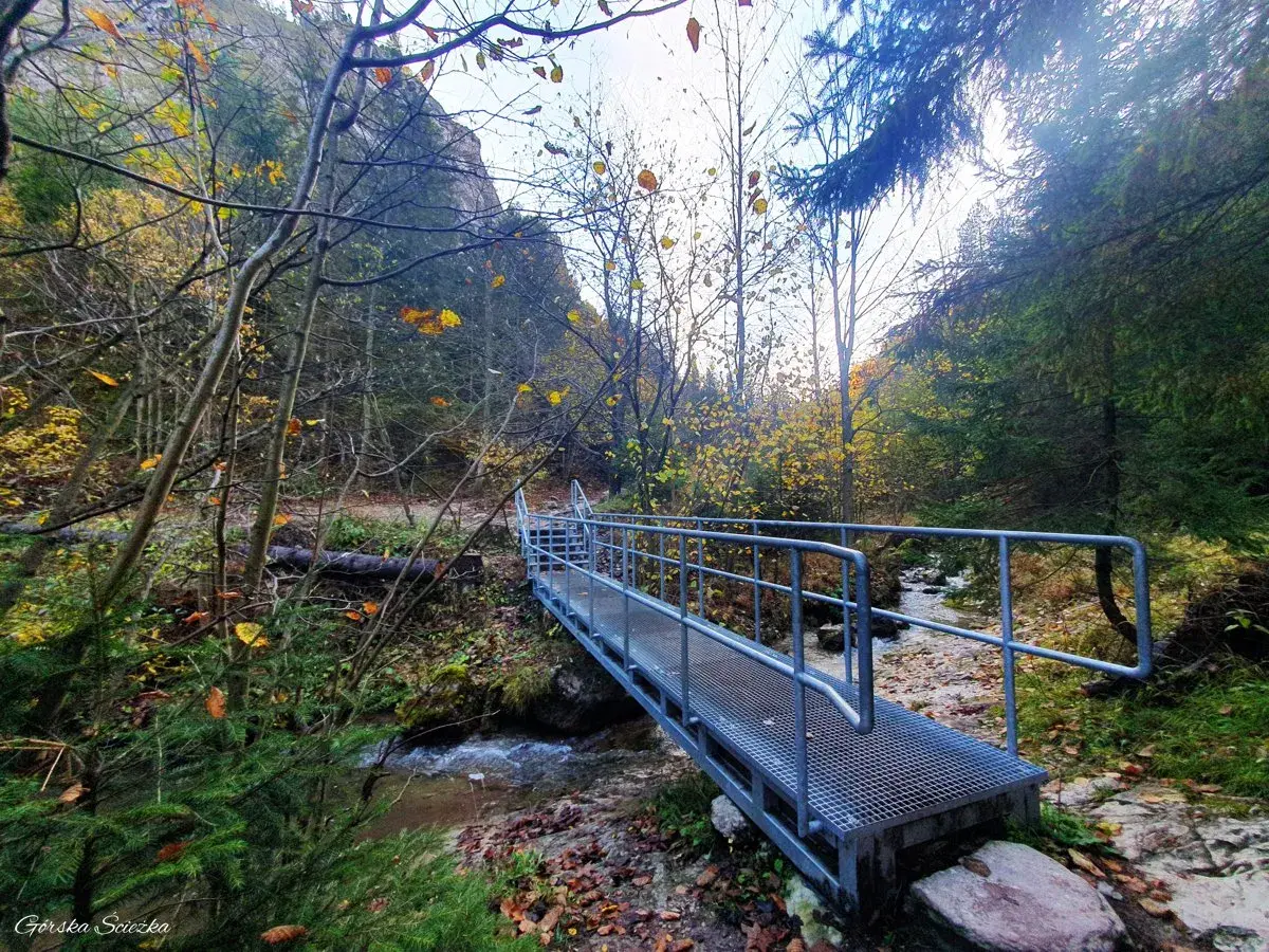 Mostek nad potokiem w jesiennym Jaworkach, Wąwóz Homole. Liście opadają, tworząc barwny dywan.