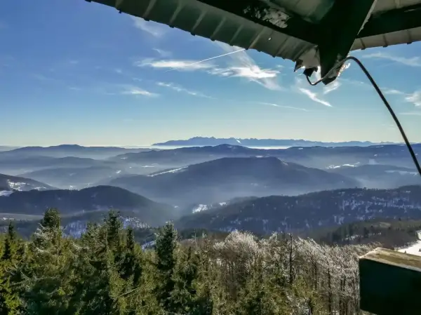 Widok z wieży widokowej na Beskid Wyspowy. W dole las, w oddali pasmo górskie. To najładniejszy szlak na Mogielicę.
