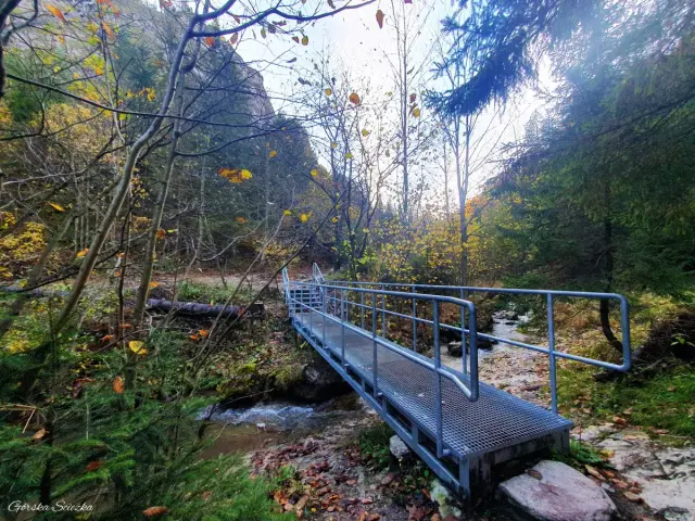 Mostek nad potokiem w jesiennym Jaworkach, Wąwóz Homole. Liście opadają, tworząc barwny dywan.